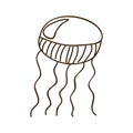 silhouette jellyfish animal marine design