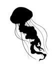 Silhouette Jellyfish deep sea poisonous illustration realism isolate.