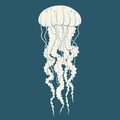 Silhouette of jellyfish. Template. Vector