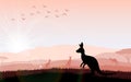 Silhouette a kangaroo the feeding in the bright sunset Royalty Free Stock Photo