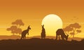 Silhouette kangaroo landscape beauty collection