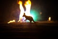 Kangaroo miniature standing at foggy night. Creative table decoration with colorful backlight with fog