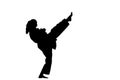 A silhouette of a karate woman