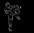 Silhouette of a karateka doing standing side kick