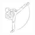 Silhouette of a karateka doing standing side kick .