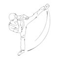 Silhouette of a karateka doing standing side kick .