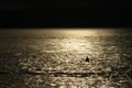 Silhouette of a kayaker at sunset