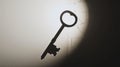 Silhouette of Key Unlocking Mysteries