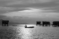 Silhouette of a kid paddling on a boat near Bajau Laut village in Maiga Island in Semporna, Sabah Borneo, Malaysia. Image in Black