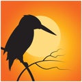 silhouette of kingfisher. Vector illustration decorative design
