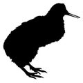 Silhouette of a kiwi bird vector