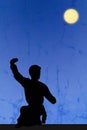 Silhouette of kongfu Royalty Free Stock Photo
