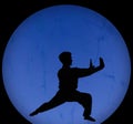 Silhouette of kongfu Royalty Free Stock Photo
