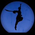 Silhouette of kongfu