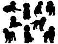 Set of Labradoodle dog silhouette vector art Royalty Free Stock Photo