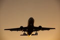 Silhouette from a landing plane. Royalty Free Stock Photo