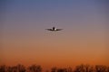 Silhouette from a landing plane. Royalty Free Stock Photo