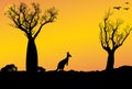 Silhouette landscape of boab trees and kangaroo