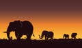Silhouette landscape illustration of a group of elephants. Beautiful sunset, Nature background Royalty Free Stock Photo