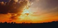 Silhouette landscape sunsets . Beautiful wheat field in sunset