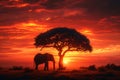 Silhouette of large acacia tree in the savanna plains with elephant. African sunset or sunrise. Wild nature Royalty Free Stock Photo