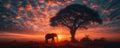 Silhouette of large acacia tree in the savanna plains with elephant. African sunset or sunrise. Wild nature Royalty Free Stock Photo