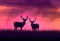 Silhouette of a large bull Elk stag walking on the prairie against the sky at sunrise Rocky Mountain Elk, wapiti, Cervus Royalty Free Stock Photo