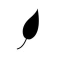 Silhouette of a leaf isolated on a white background. Black leaf. Clipart leaves. Vector illustration