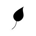 Silhouette of a leaf isolated on a white background. Black leaf. Vector illustration