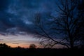 Silhouette of leafless tree branches, outlined against a cloudy blue sky at dusk Royalty Free Stock Photo