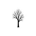 Silhouette of a leafless tree with numerous branches, set against a plain white background. The Royalty Free Stock Photo