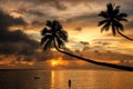 Silhouette of leaning palm trees and a woman at sunrise on Taveuni Island, Fiji