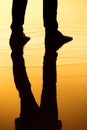 Silhouette legs reflection