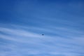 Silhouette light aircraft, white wispy clouds