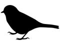 Silhouette of little bird Royalty Free Stock Photo