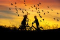 Silhouette little boy and little girl riding bike look to flock of lesser whistling duck flying on sunset Royalty Free Stock Photo