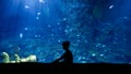 Silhouette of little boy sitting in the bog aquarium and looking at swimming fishes and coral reefs Royalty Free Stock Photo