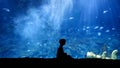 Silhouette of little boy watching fishes swimming in big aquarium at zoo or shopping mall. 23rd of March, 2023, Istanbul, Turkey,