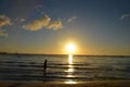 Silhouette of little girl strolling in the beach toward the Sunset