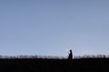 silhouette of Little girl is walking with butterfly net and catching butterflies on the green hills on summer day. copy Royalty Free Stock Photo