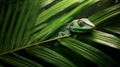 Silhouette_of_a_lizard_shadow_on_a_green_1690444365111_1 Royalty Free Stock Photo