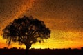 silhouette of locust swarm against african sunset