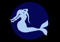 Animal, bird, illustration, blue, swan, silhouette, water, white, dolphin, cartoon, sea, nature, symbol, icon, abstract, sign, dov