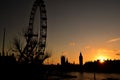 Silhouette of London Eye, Westminster Abbey,