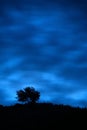 Silhouette, lone tree on a hill after dusk. Long exposure.