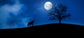 Silhouette of a lone wolf in the woods howling at the full moon