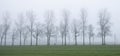 silhouette of lonely bicycle and bare winter trees along country road in the netherlands Royalty Free Stock Photo