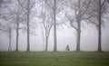 silhouette of lonely bicycole and bare winter trees along country road in the netherlands Royalty Free Stock Photo