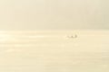 Silhouette of lonely boat rowing on the lake in the morning mist. Phewa lake, Pokhara, Nepal Royalty Free Stock Photo