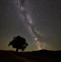 Lonely high tree under starry night sky and Milky way Royalty Free Stock Photo